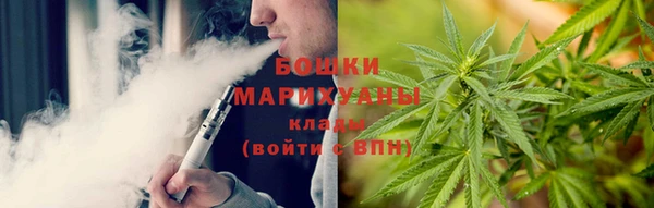 прущие грибы Волосово