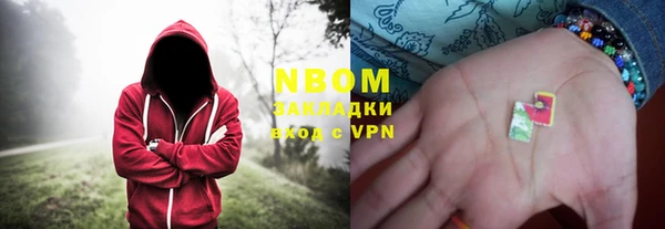 шишки Верхний Тагил