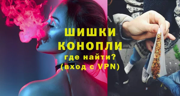 крисы Верея