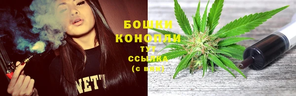 прущие грибы Волосово